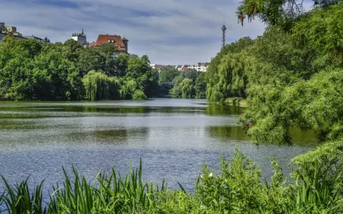 Grüne Ufer und ein ruhiger See am Lietzensee Berlin. Im Hintergrund ragen Gebäude und ein Fernsehturm auf.