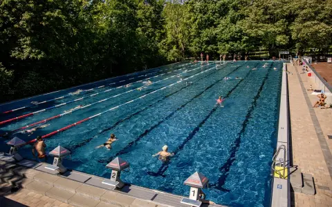 Ein sonniger Tag im Freibad Berlin. Menschen schwimmen in den Bahnen, andere entspannen sich am Beckenrand.