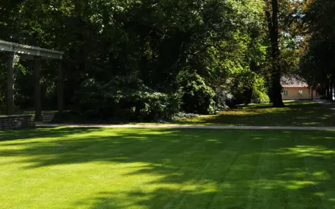 Ein sonniger Tag im Schlosspark Pankow. Ein gepflegter Rasen wird von Schatten durchbrochen, daneben ein Weg und eine Allee.