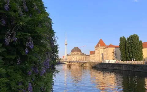 Ein sonniger Sonntag in Berlin. Lila Glyzinien ranken sich vor der Spree, im Hintergrund der Fernsehturm und historische Gebäude.