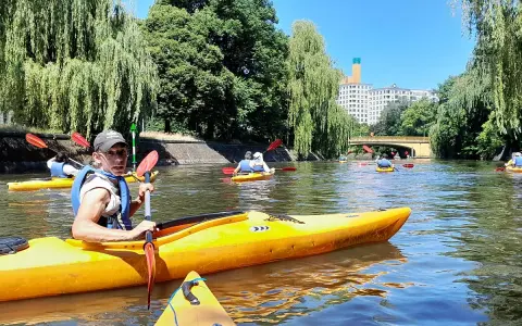 Eine Gruppe von Menschen paddelt auf gelben Kajaks auf einem Fluss in Berlin. Bäume säumen das Ufer, im Hintergrund ist ein Gebäude zu sehen.
