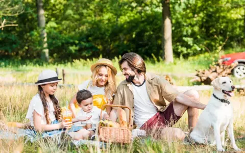 Familie genießt einen sonnigen **Picnic Berlin** im Grünen mit Hund.